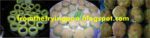 Stuffed Snake Gourd / Minced Meat Pudlets / Snake Gourd Cutlets