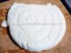 How To Make Paneer/Home Made Paneer