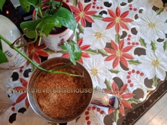 How To Toast Coconut/Kerisik