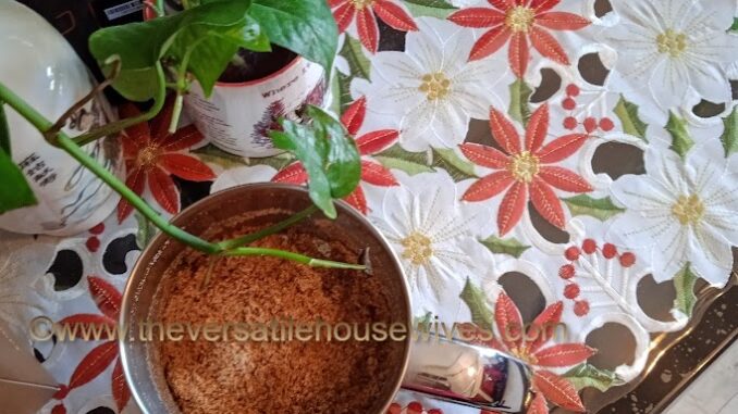 How To Toast Coconut/Kerisik