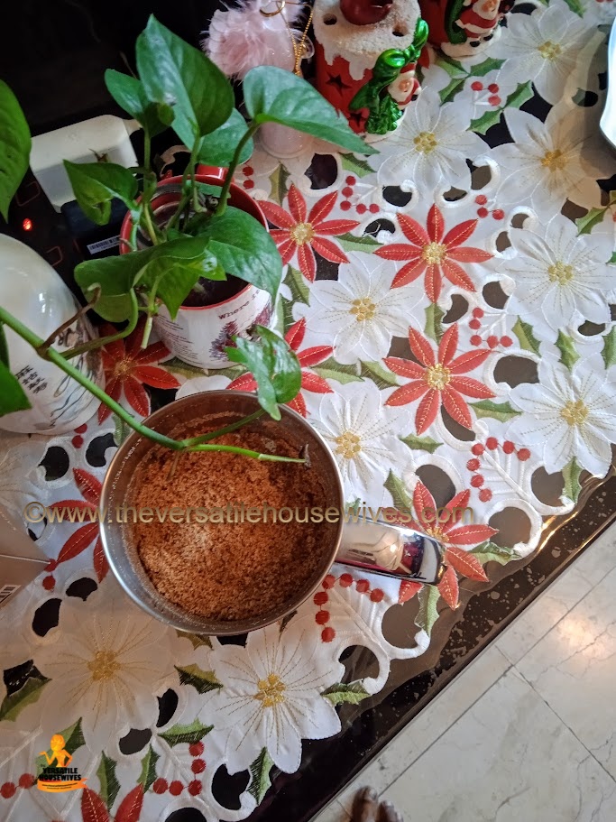 How To Toast Coconut/Kerisik