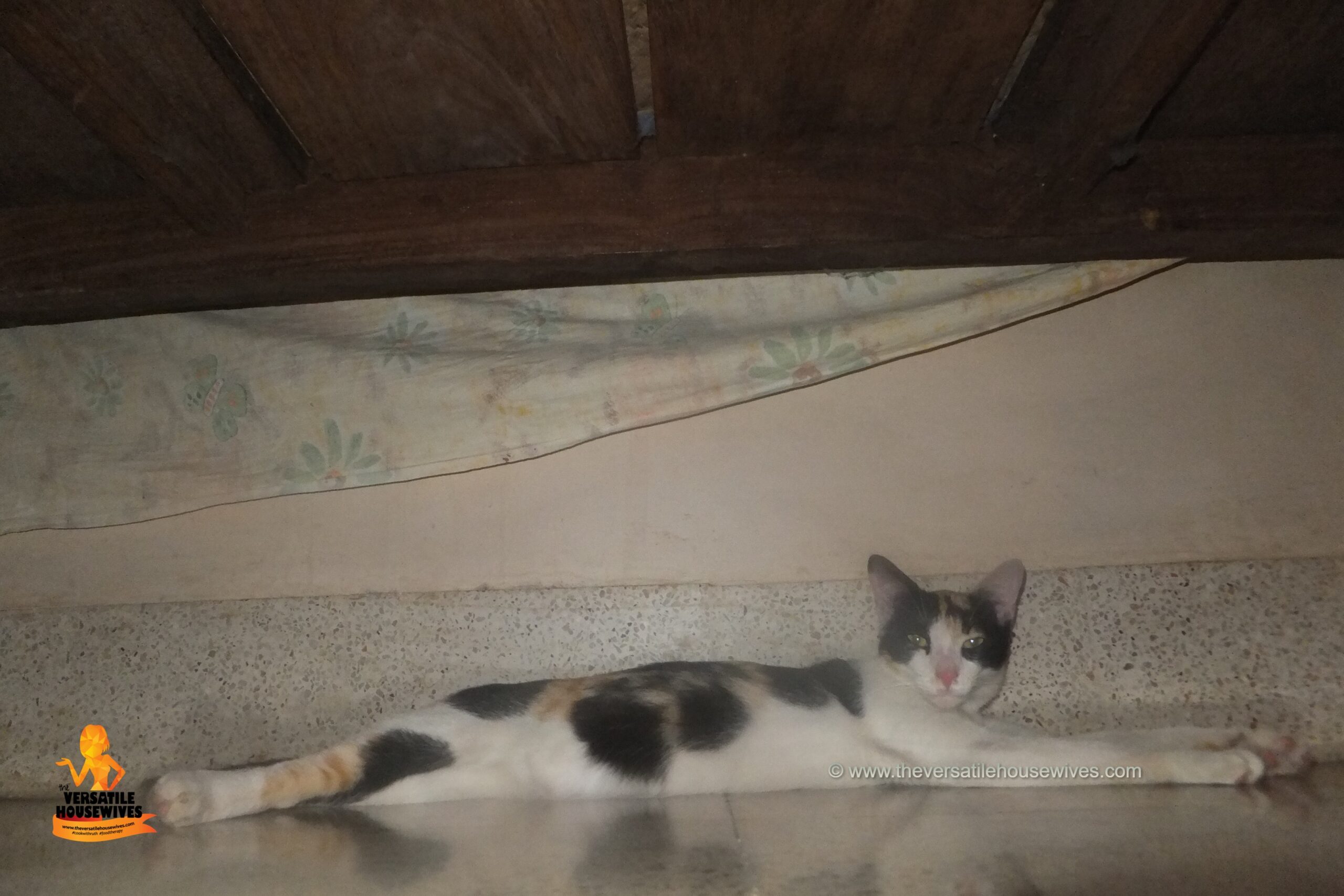 Queen Callie