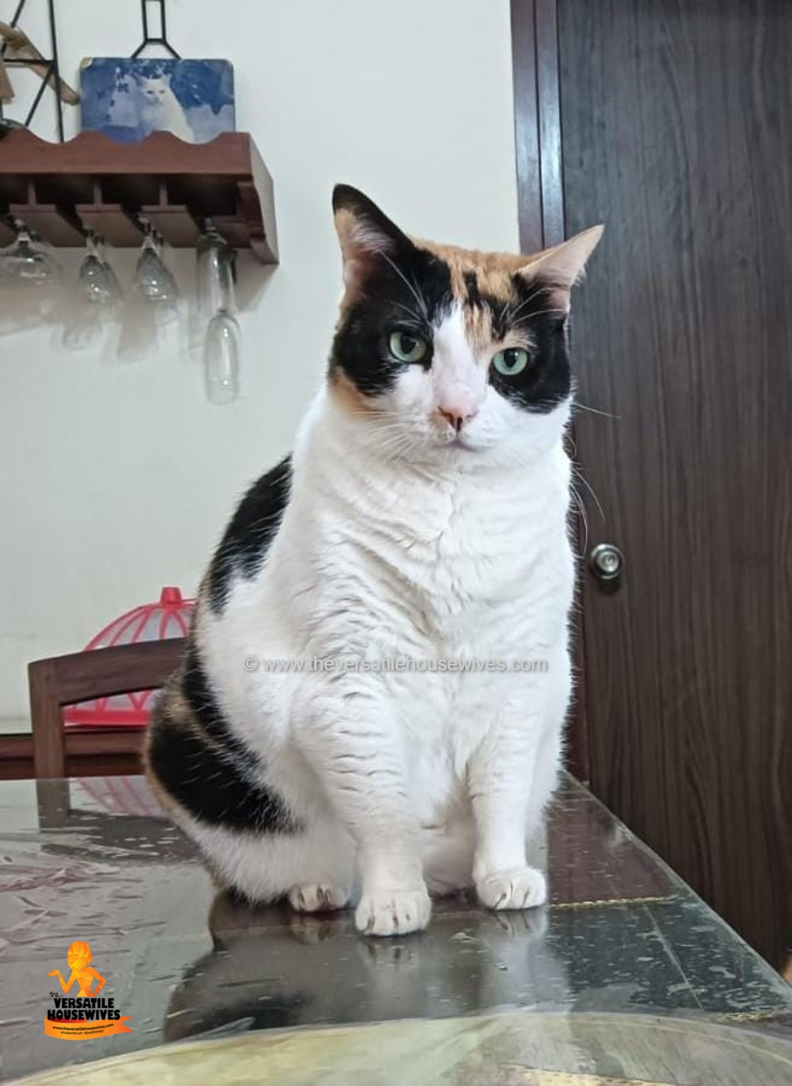 Queen Callie