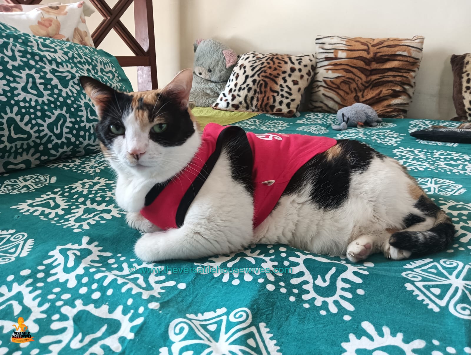 Calico
